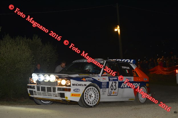 DSC_7784.JPG